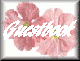 flwr2-gstbk.gif (2528 bytes)