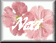 flwr2-nxt.gif (2606 bytes)