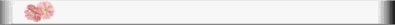 flwr2-smbar.gif (1277 bytes)
