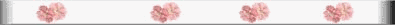 flwr2-smbr.gif (2495 bytes)