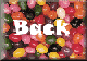 jb-bck.gif (3220 bytes)