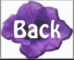 prpflw3bck.gif (3626 bytes)