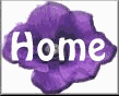 prpflw3hme.gif (3690 bytes)