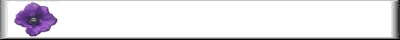 prpflw3lbar.gif (1635 bytes)