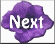 prpflw3nxt.gif (3684 bytes)