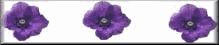 prplflowr7mebr.gif (3185 bytes)