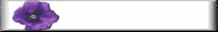 prplflowr7smbr.gif (1382 bytes)