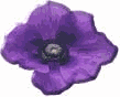 purpfl3d.gif (3311 bytes)
