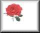 rose-pln.gif (1464 bytes)