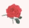 rose1x.gif (1021 bytes)