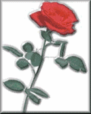 rose2-bvlrg.gif (6414 bytes)