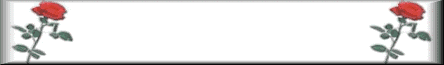 rose2bvlrg-lrgbr.gif (4135 bytes)
