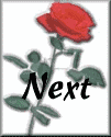 rose2bvlrg-nxt.gif (4302 bytes)