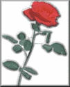 rose2bvlrg-pln.gif (3922 bytes)
