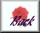 rose3-bck.gif (1851 bytes)