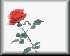 rose7-pln.gif (1222 bytes)