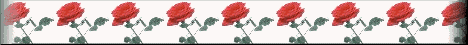 rose7-sglbr.gif (5456 bytes)