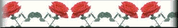 rose7-smbr.gif (4151 bytes)