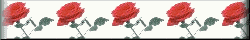 rose7-sngbr.gif (3036 bytes)