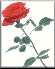 rose7.gif (1838 bytes)