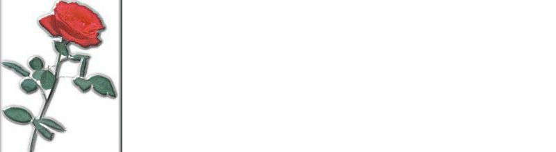 rse2blv-back.jpg (9500 bytes)