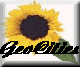 snflw-geo.gif (2403 bytes)