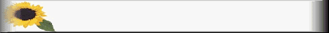 snflwr-bar.gif (2505 bytes)