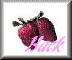 strw-bck.gif (2039 bytes)