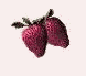 strwbry1x.gif (1452 bytes)