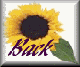sunfl-bck.gif (2532 bytes)