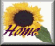 sunfl-hme.gif (2549 bytes)