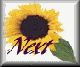 sunfl-nxt.gif (2440 bytes)