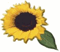sunflwr3d.gif (3723 bytes)