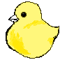 chick4.gif 96/96