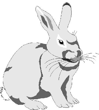 hase002.gif 400/441
