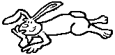 hase010.gif 165/80