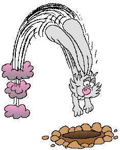 hase103.gif 235/295