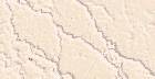 tex-042.jpg 140*72 2,4KB