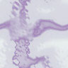 tex-015.jpg 96*96 3,0KB