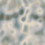 tex-056.jpg 145*145 2,9KB