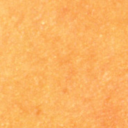 tex-060.jpg 185*185 12,9KB