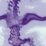 tex-233.jpg 96*96 3,2KB