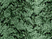 tex-165.jpg 200*150 9,2KB