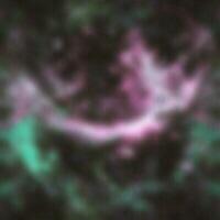 tex-211.jpg 200*200 4,1KB