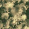tex-312.jpg 96*96 2,8KB
