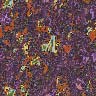 tex-359.jpg 96*96 5,2KB