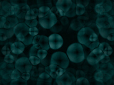 tex-114.jpg 160*120 14,5KB
