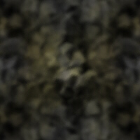 tex-123.jpg 200*200 13,1KB