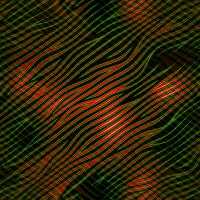 tex-137.jpg 200*200 8,9KB