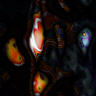 tex-268.jpg 96*96 2,9KB